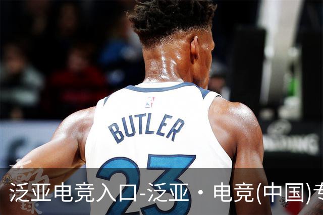 泛亚电竞入口-泛亚·电竞(中国)专业电子竞技平台公司简介